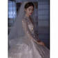 Luxury Ball Gown V Neckline Long Sleeves Lace Wedding Dress C187