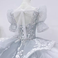 Fairytale Ball Gown Scoop Neckline Tulle Lace Long Wedding Dresses C196