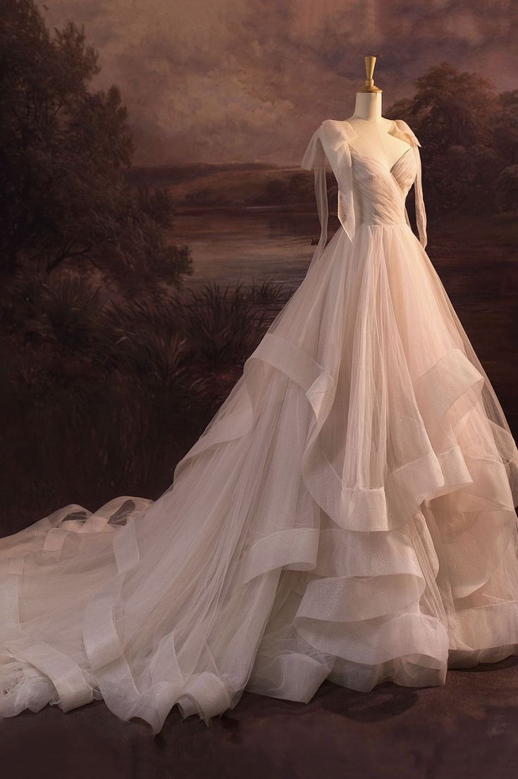 Robe de mariée longue en tulle élégante à col en V C320