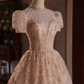 Elegant Ball Gown High Neckline Pink Tulle Party Dress Lace Homecoming Dresses C429