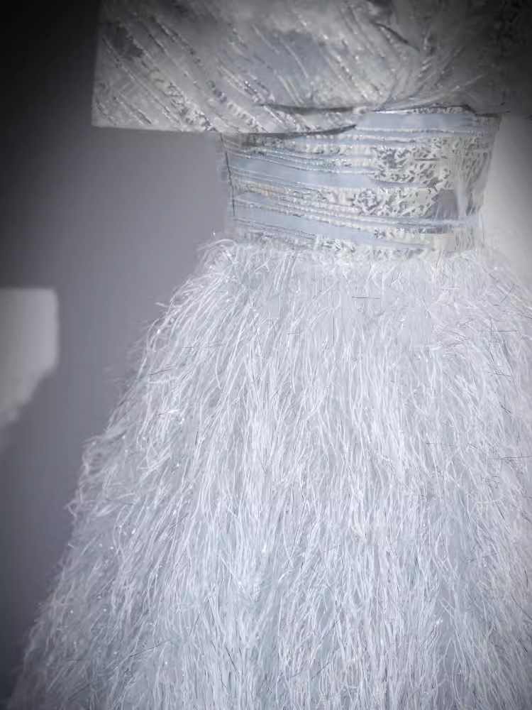 Robe de bal longue ligne A scintillante, épaules dénudées, plumes gris argenté, B170